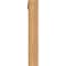 Ekena Millwork Merced Block Smooth Bracket w/ Offset Brace, Western Red Cedar, 5 1/2"W x 24"D x 36"H BKT0604X24X36MRC05SWR - alternate 3